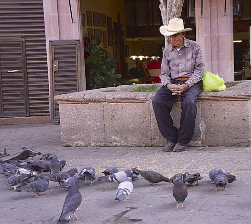 Finding Freedom...World Wide Ride-feeding-pigeons.jpg