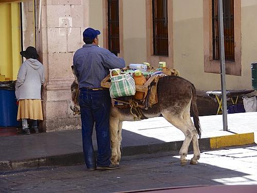Finding Freedom...World Wide Ride-burro.jpg
