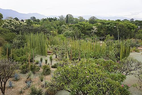 Finding Freedom...World Wide Ride-museo-de-la-culturas-garden.jpg