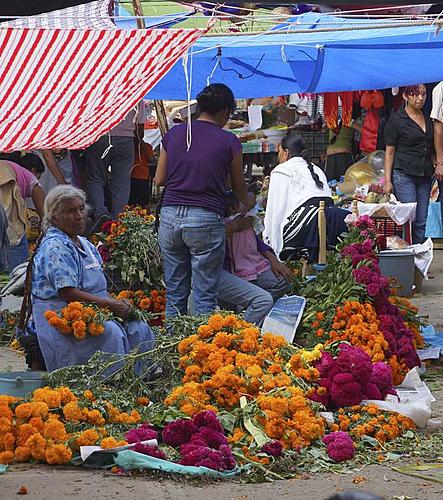 Finding Freedom...World Wide Ride-zaachila-flowers-2.jpg