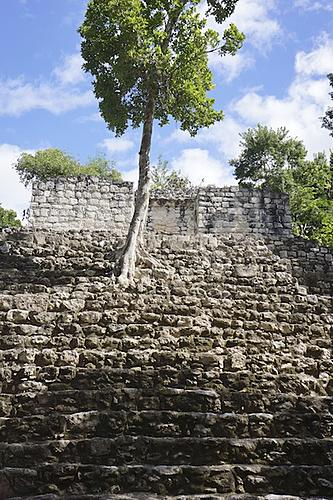Finding Freedom...World Wide Ride-calakmul-55.jpg