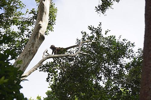 Finding Freedom...World Wide Ride-calakmul-66.jpg