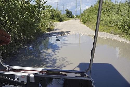 Finding Freedom...World Wide Ride-belize-43-off-road-golf