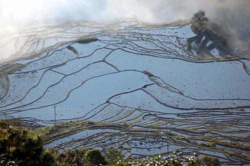 China - South of the Cloud, 7 day adventure of hill tribes, terraced fields and cockt-dsc_7455.jpg