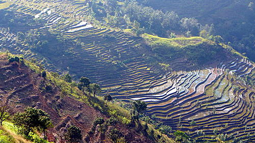 China - South of the Cloud, 7 day adventure of hill tribes, terraced fields and cockt-p1000203.jpg