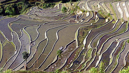 China - South of the Cloud, 7 day adventure of hill tribes, terraced fields and cockt-p1000440.jpg