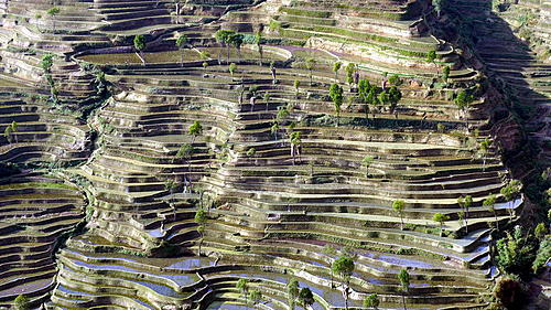 China - South of the Cloud, 7 day adventure of hill tribes, terraced fields and cockt-p1000441.jpg