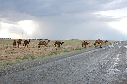 Kyrgyzstan to Aktau-dsc_1053.jpg