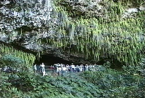 What to See In Hawaii (Video + Stills)-hkferngrottowide.jpg