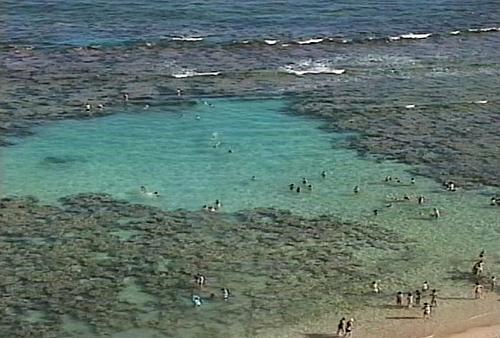 What to See In Hawaii (Video + Stills)-hohanumabay2.jpg