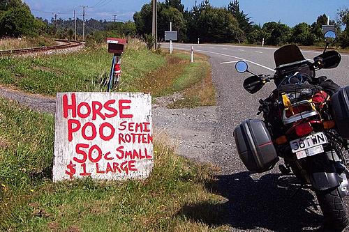 Click image for larger version

Name:	NZ poo.jpg
Views:	70
Size:	149.8 KB
ID:	17509