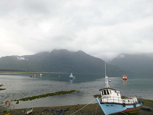 Chile, Hornopiren (Along Carretera Austral - Ruta 7)-p1030016.jpg