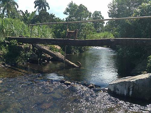 Free Place to camp in Ecuador.-image.jpg