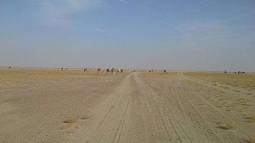 Mauritania-piste1.jpg