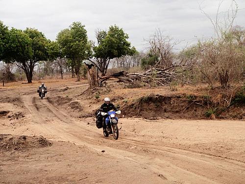 South Luangwa NP to Northern Zambia-south-luangwa.jpg