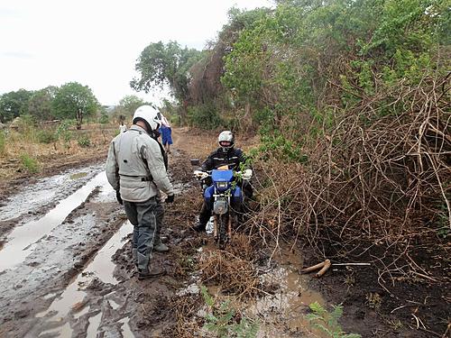 South Luangwa NP to Northern Zambia-south-luangwa-3.jpg