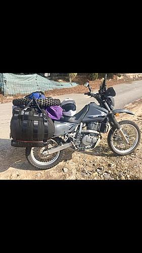 How can I buy a DR650 in UK?-img_7252.jpg