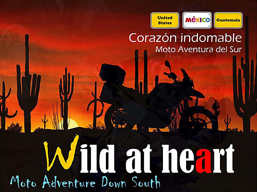 Click image for larger version

Name:	Wild at Heart title.jpg
Views:	135
Size:	96.2 KB
ID:	15929