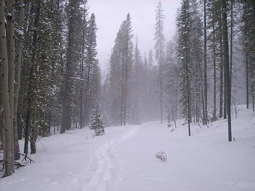 Things to keep busy with over winter...-snowshoeing4.jpg
