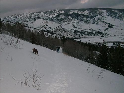Things to keep busy with over winter...-snowshoeing5.jpg