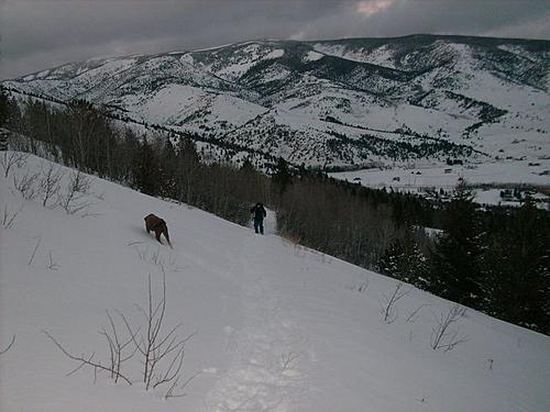 Things to keep busy with over winter...-snowshoeing5.jpg