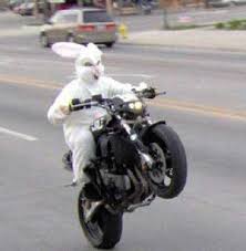 Name:  bunny.jpg
Views: 220
Size:  6.1 KB