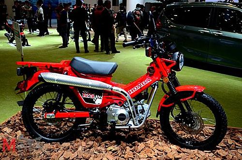 Should I get rid of my pillion seat?-honda-ct-125.jpg