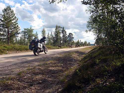 Who was in Sainte-Mère-Église May 6-barend-lubbers-1-reindeercrossing-lappland