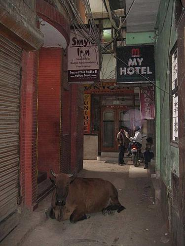 Bike friendly accomodation in Delhi-reduced-hotel-smyle-railway-station