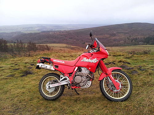 NX650 Dominator-20140105_144236.jpg