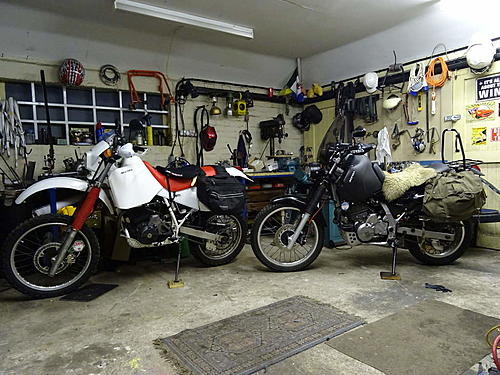 Riding to Mongolia/Russia.  Which would you pick ??-dsc00012.jpg