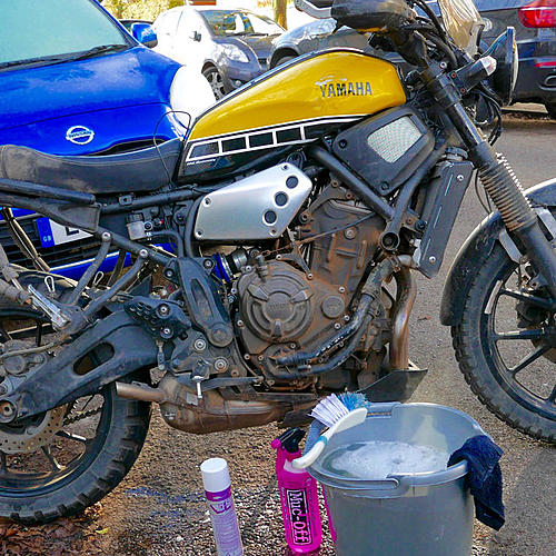 Yamaha XSR 700 Scrambler-p1220058.jpg