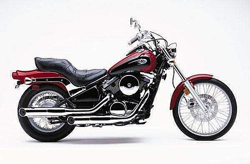 Custom bikes-vn800.jpg