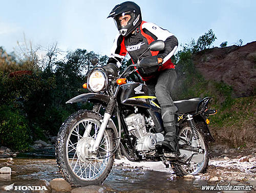 Click image for larger version

Name:	Honda_CB1X.jpg
Views:	44643
Size:	72.8 KB
ID:	9948