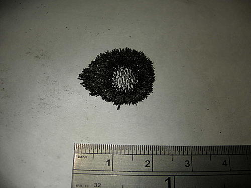 Metal particles in oil XT600e-bits-037.jpg