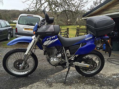 TT600RE coming up for sale in Devon-tt600re.jpg