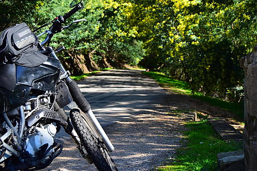 The amazing XT600-dsc_3709.jpg