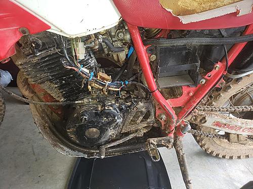 New 86 xt600 owner-20190302_094221.jpg