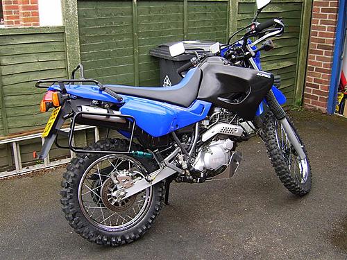 Newbie to the site and the XT600-shiny-bike-medium-.jpg