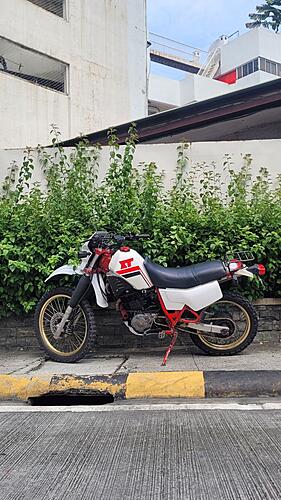 XT600 Engine Painting, Requesting Help-photo_2025-07-05_23-22-40.jpg