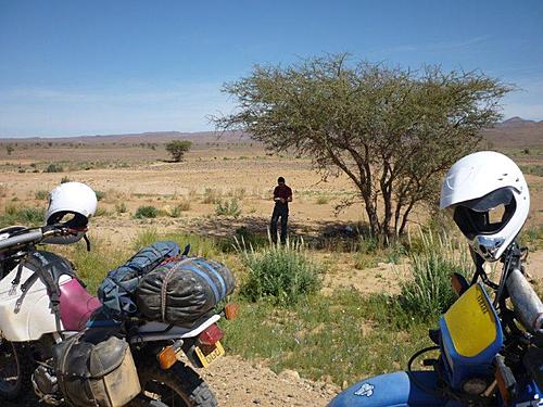 xt600e acerbis tank tank bag/backpack-stan-under-tree.jpg