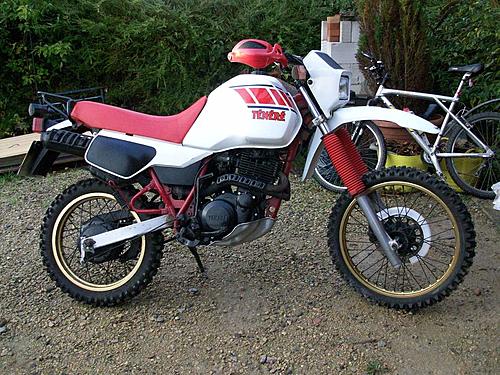 1985 XT600 Headlight, other options-tenere-a.jpg