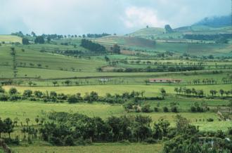 Farmland in Costa Rica.