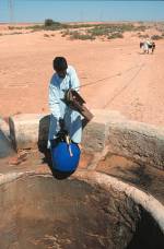 Getting water the hard way, eastern Libya.