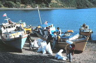 Boats on beach in Puerto Montt, Chile.
