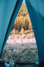 View from the tent, Yukon campsite.