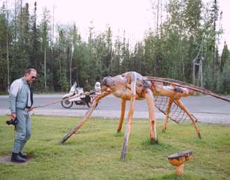 They grow mosquitos very big in Alaska!