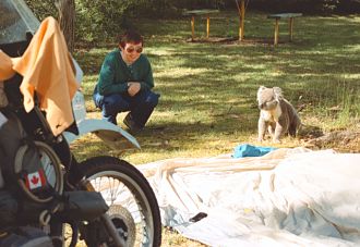 Susan and koala at campsite in Australia.