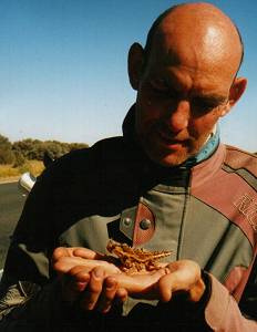 Bike Brothers new pet, an "Australian thorny devil."