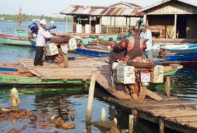 Cambodia ferry